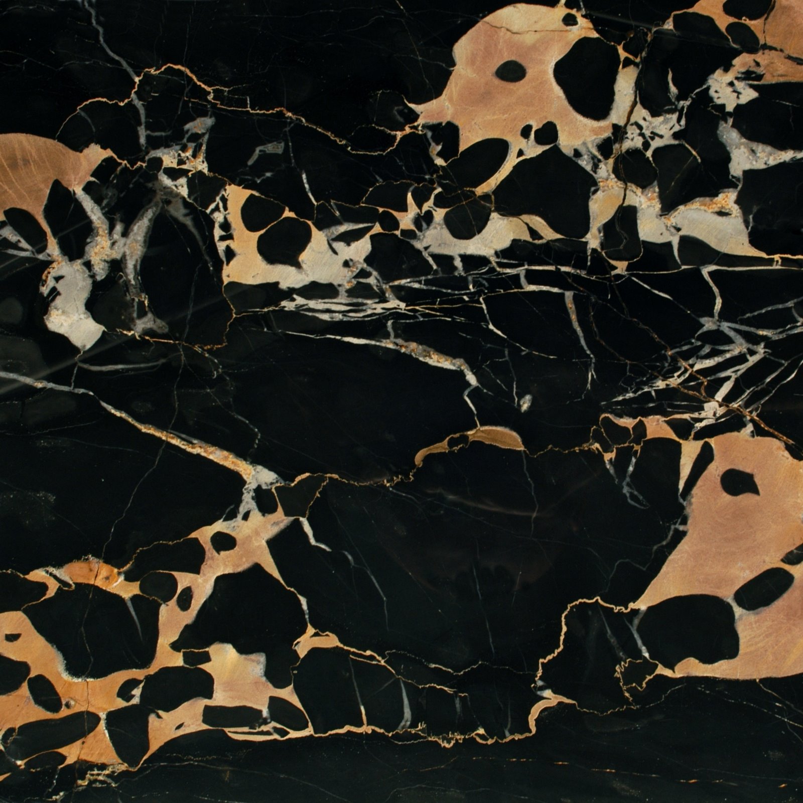 H11 Portoro Marble Natural Stone Projects